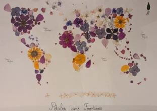 CartoCréa
