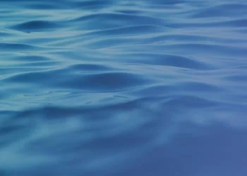 La mer en débat