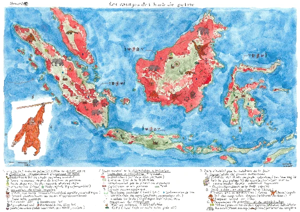 Conflits%20Orang%20Outans