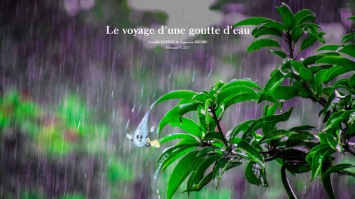 Le voyage d'une goutte d'eau