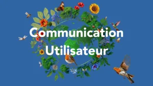 Outil sur mesure pour la centralisation, le suivi et l'optimisation des développements de projets d’énergies renouvelables