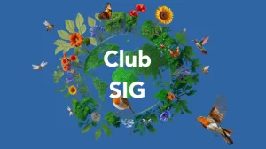 CLUB SIG – TomTom